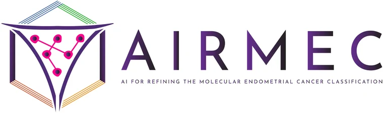 AIRMEC: AI for refining the molecular endometrial cancer classification